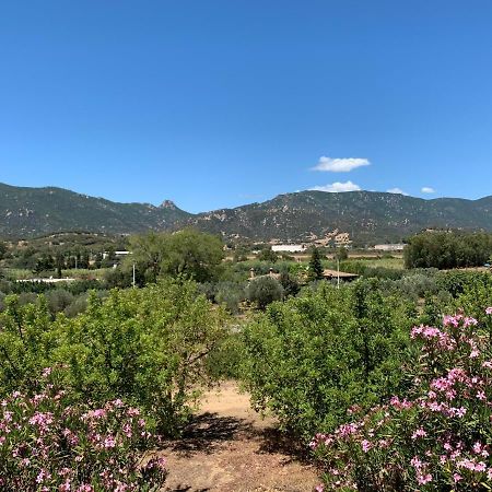 Casa Marina Daire Villasimius Dış mekan fotoğraf